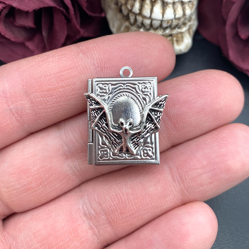 2pcs 27*22mm 박쥐 책 로켓 매력 스테인레스  - Art Craft Display 리뷰 및 가격